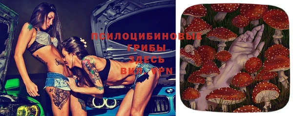 мяу мяу мука Беломорск