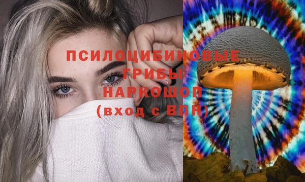 прущая мука Белокуриха